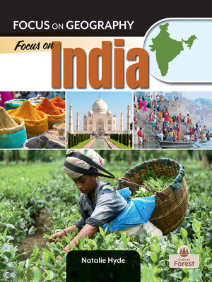 cover image of Focus on India
